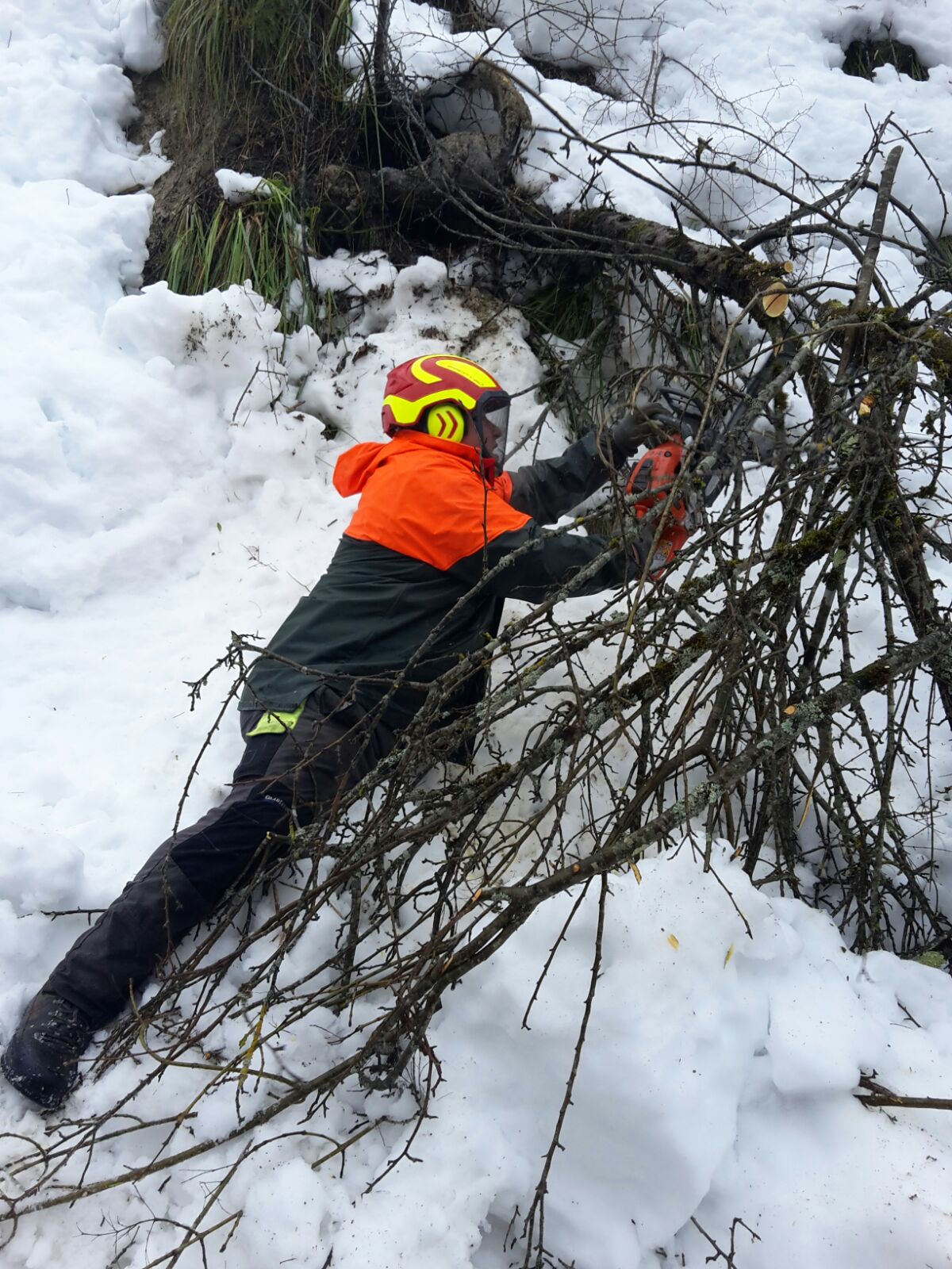 LFV/Feuerwehren Abschnitt Kaltern