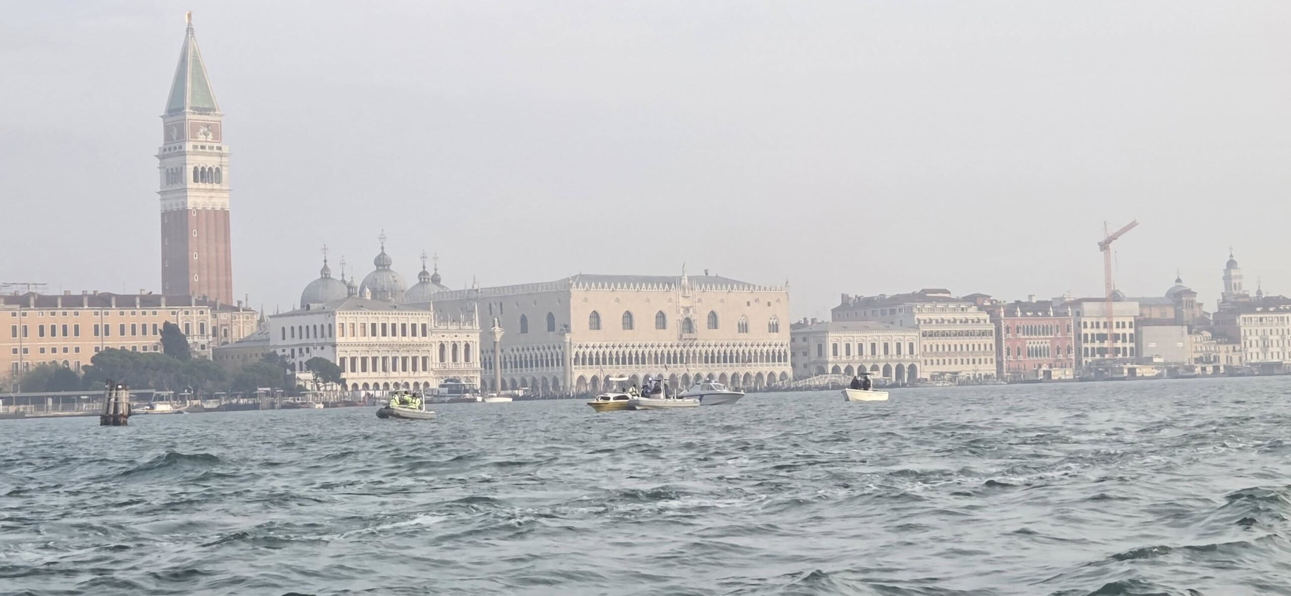 Delfin mit Sonar aus der Lagune gelotst