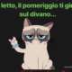 Profilbild Odino