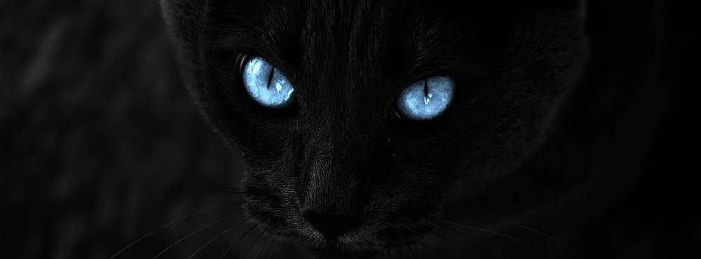 Schatten