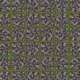 geforce