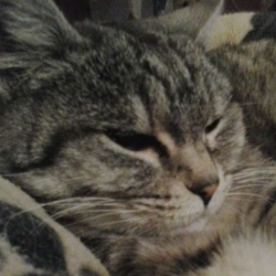 Minnie