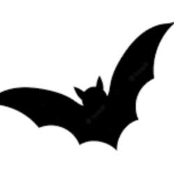 barbastella