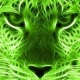 nuisnix