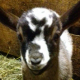 Profilbild Kastinka