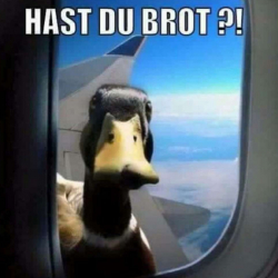 ERT9K
