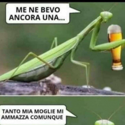 cinquantabello