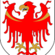 Holzile