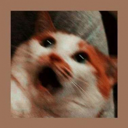 Herako